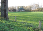 Catteler